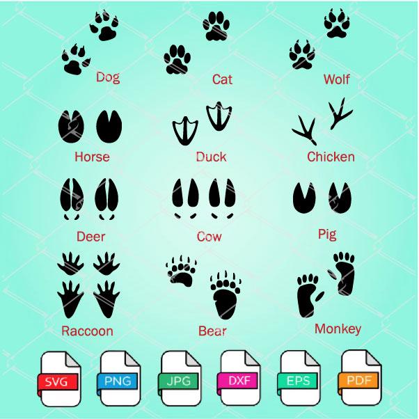 Animal Tracks Svg Bundle - 12 different animal Footprints SVG - mysvg